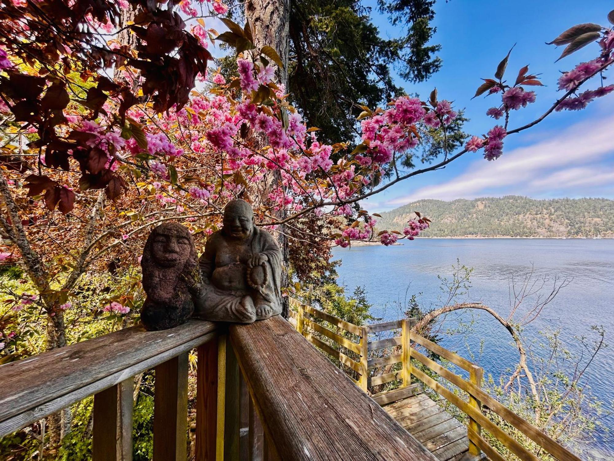 Shangrila Waterfront Vacation Home Bedwell Harbour Exterior foto