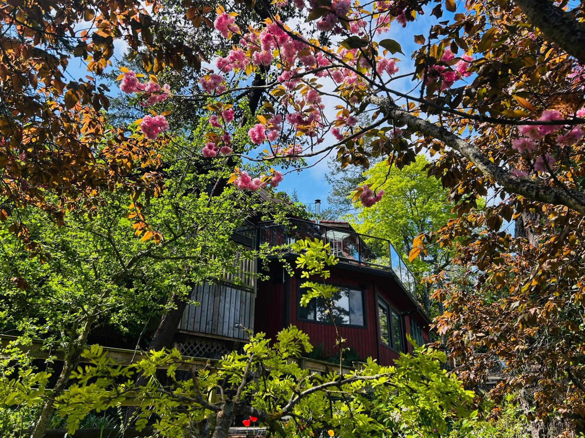Shangrila Waterfront Vacation Home Bedwell Harbour Exterior foto